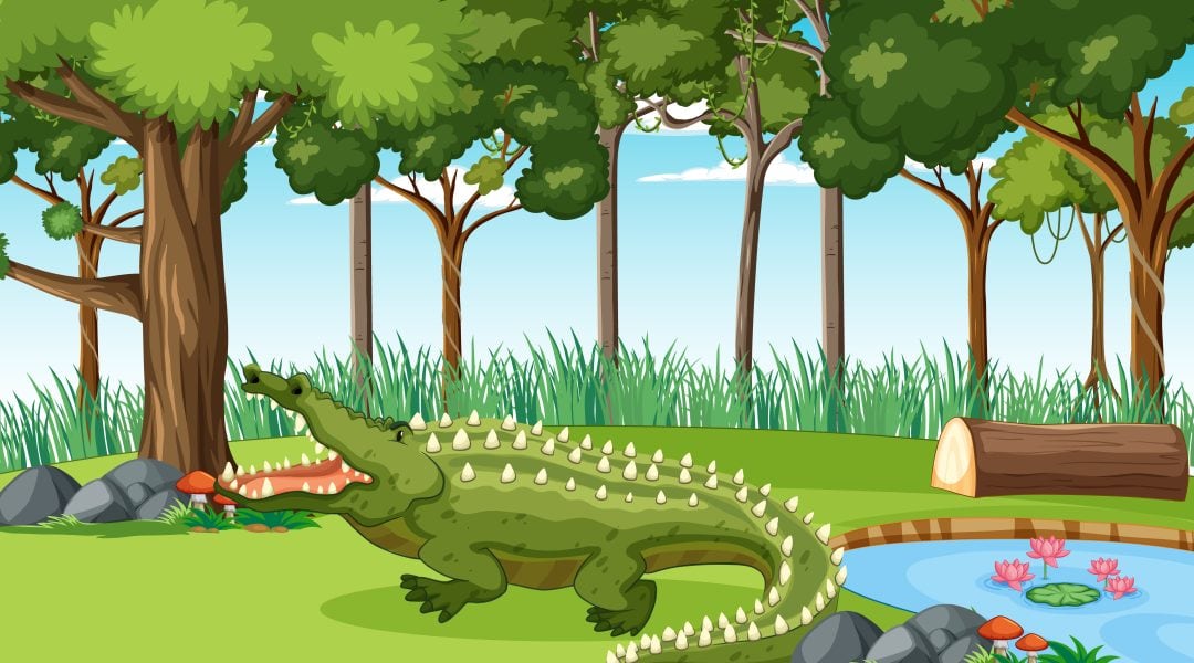 The Dog and The Crocodile